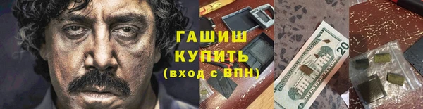 apvp Каменка