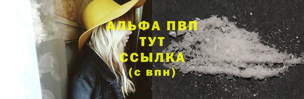 apvp Каменка