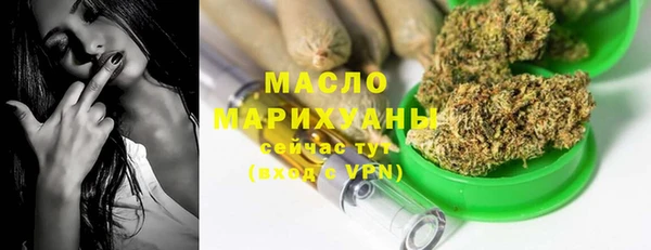 apvp Каменка