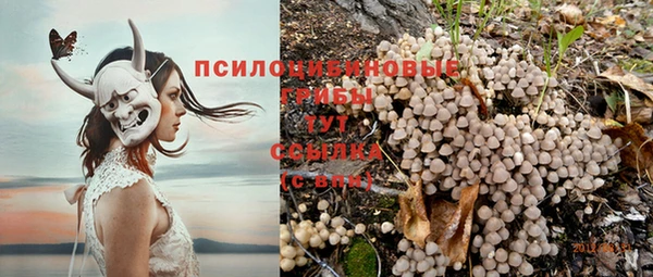 героин Каменногорск
