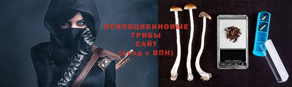 apvp Каменка