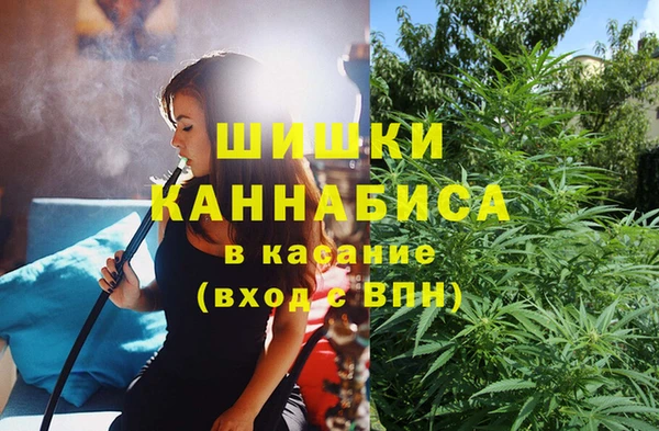 apvp Каменка