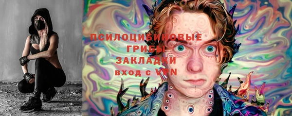 apvp Каменка