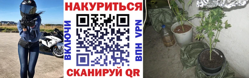 Каннабис Amnesia Гусиноозёрск